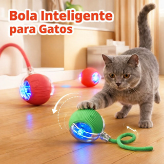 Brinquedo Bolinha Interativa Para Gatos Com Luzes Interativa Cachorros Pequenos em Oferta na Shopee