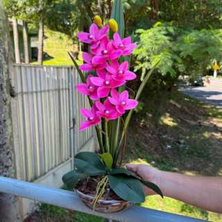 Arranjo Flor Orquídea Luxo Realista Diversas Cores Casa Escritório Flor Artificial Sustentável em Oferta na Shopee