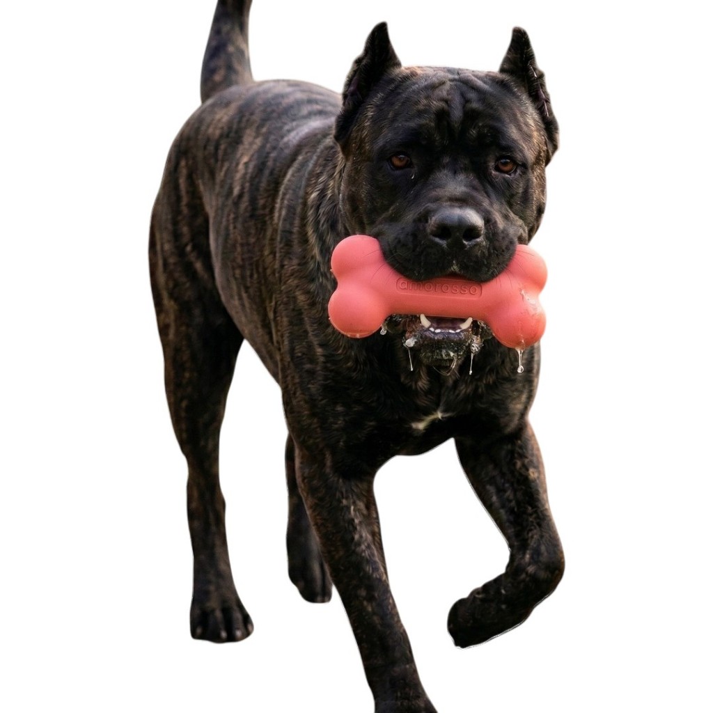 Osso Rosa Brinquedos Para Cachorro Passeio Resistente Pit Bull Terrier Americano American Bully Monster Rottweiler