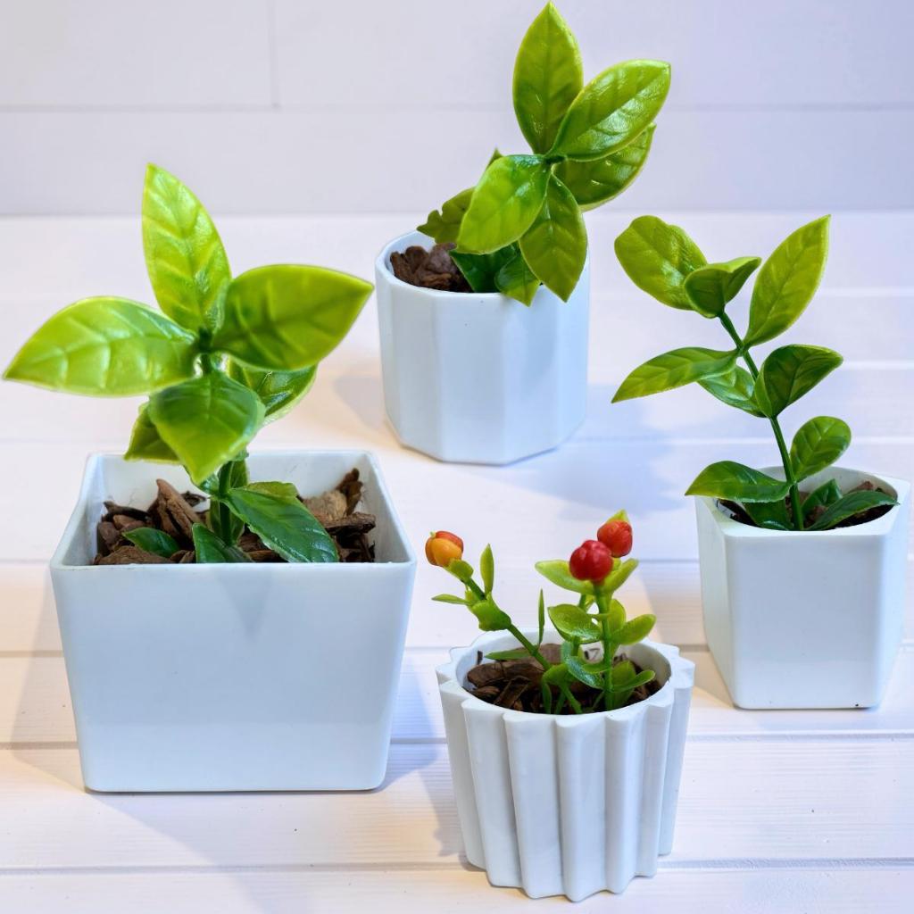 Decoração Viva sem Manutenção - Kit com 4 Vasinhos