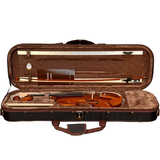Violino Eagle VK644 Série Profissional + Arco + Breu + Espaleira + Maleta Extra Luxo