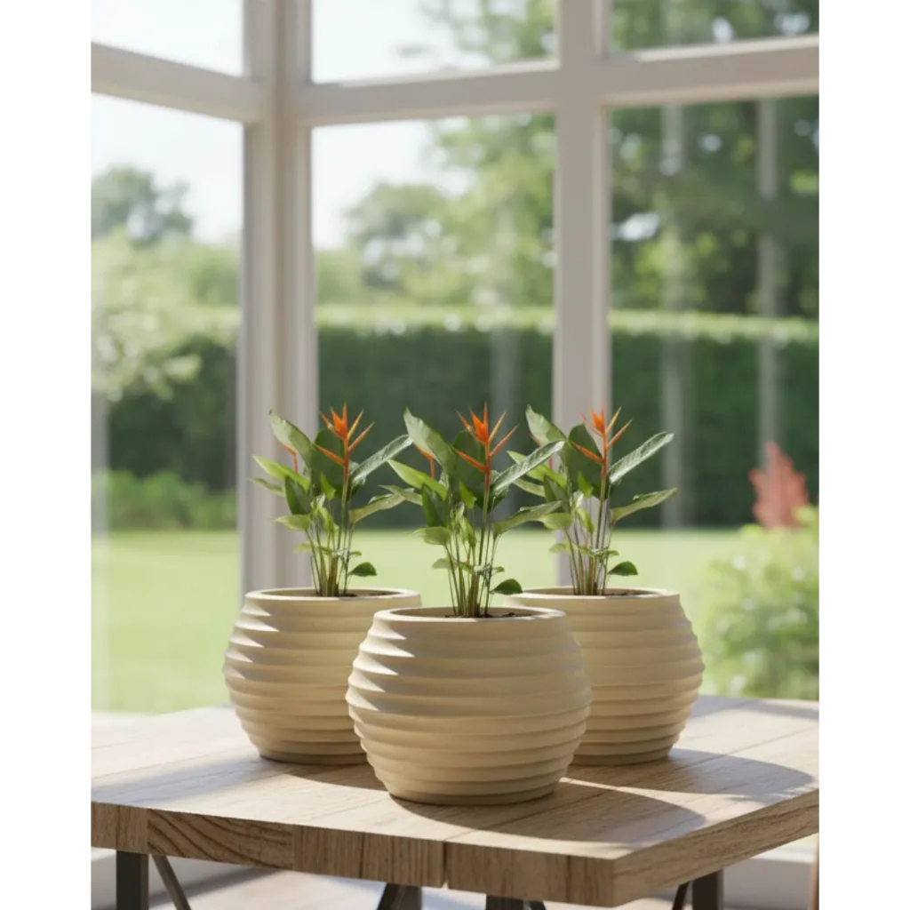 Kit 3 Vasos Decorativo Esfera Ondulada N°1 Planta Flor Orquidea Anturio Lirio Suculentas Polietileno