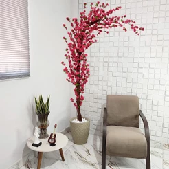 Árvore Curvada Cerejeira Curva Pink Sakura Grande 220cm Vaso Pedra
