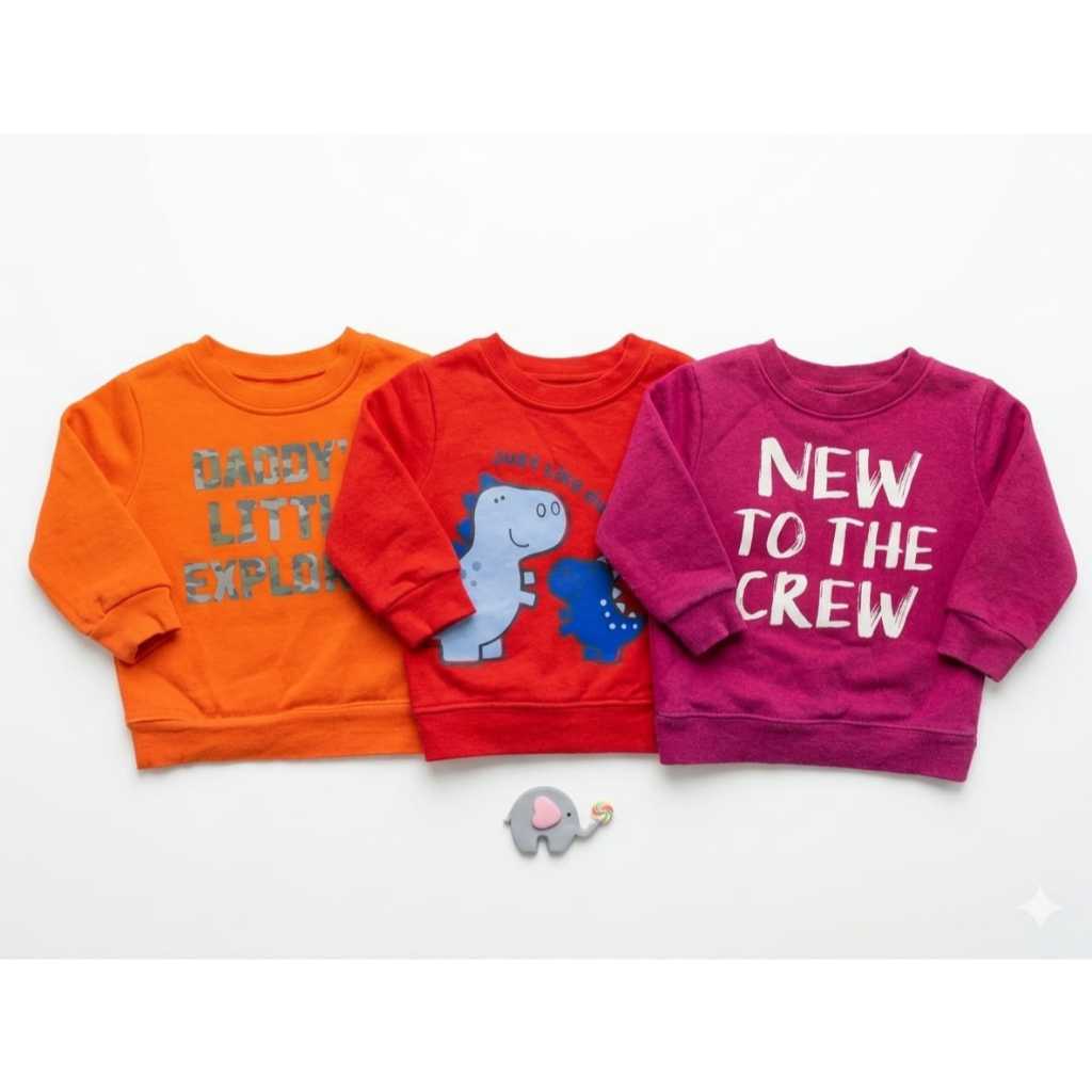 Blusas de moletom Garanimals tamanhos 6, 9 e 12 meses importadas (Desapego)