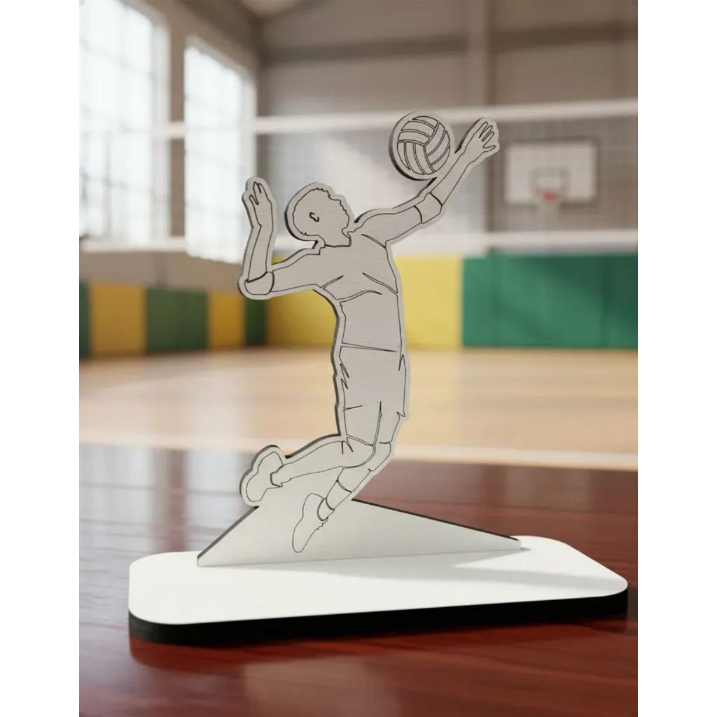 Troféu MDF Vôlei Masculino – Salto e Saque Perfeito