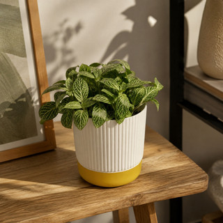 Vaso Cachepot Canelado Branco com Borda Dourada - Castela