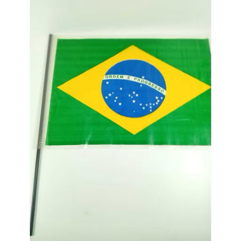 Bandeira Do Brasil De Plástico | 30x40cm | Unidade E Kits | Seleção Brasileira, Copa Do Mundo, Bandeirinha, Jogos, Futeb