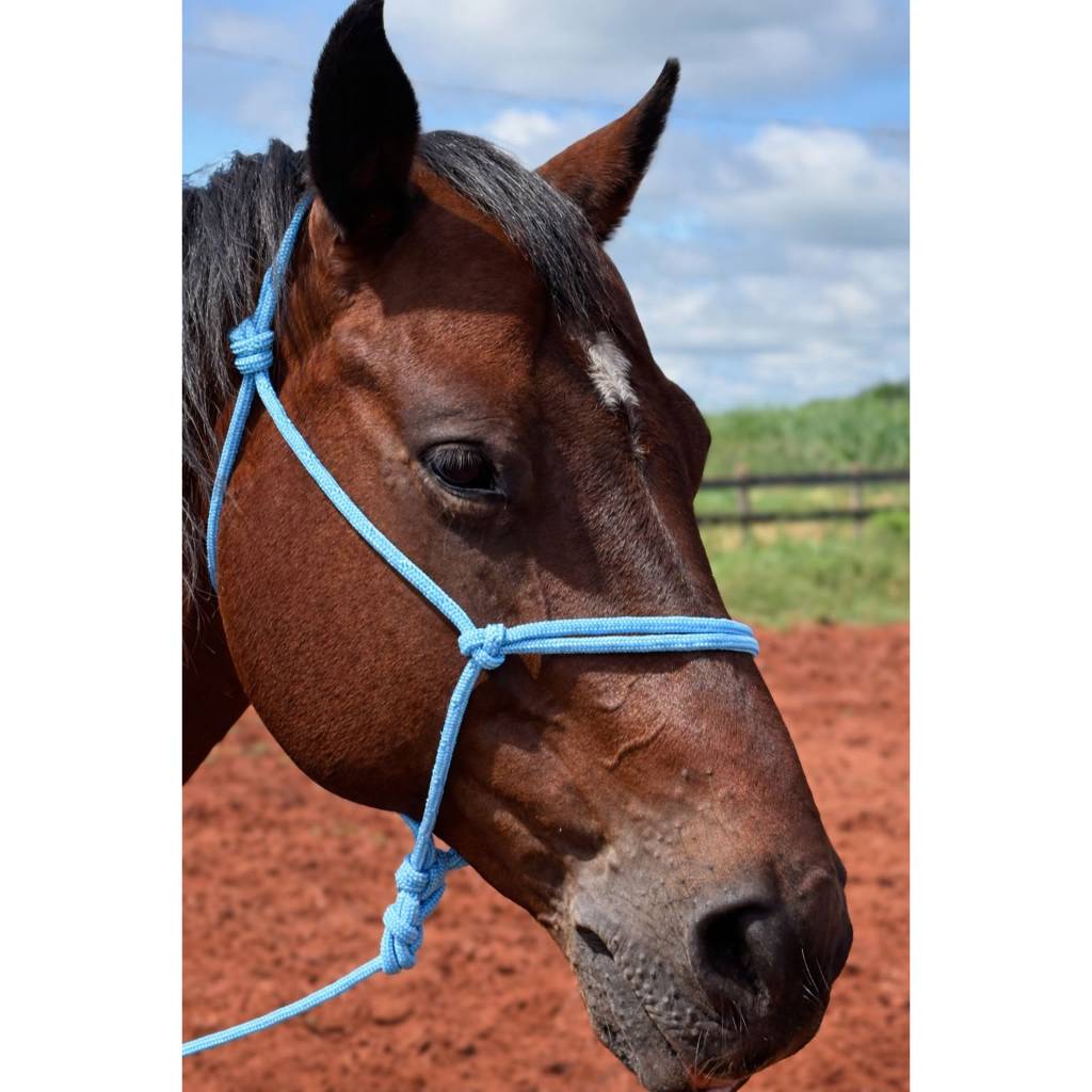 Cabresto de Corda Ajustável 7 Nós para Cavalo + Guia 2,5m Inclusa | Manejo e Treinamento