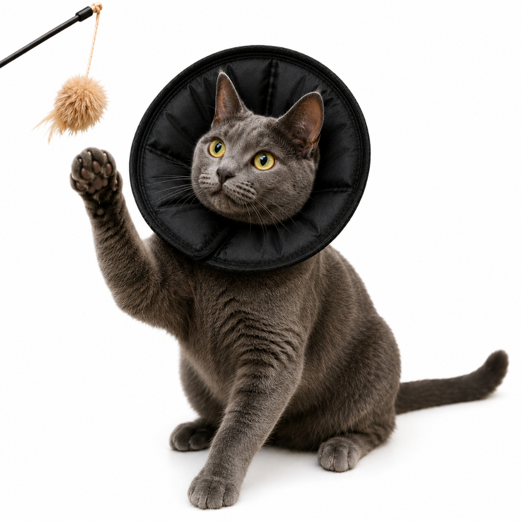 Colar Elizabetano em Tecido Confortével e Dobravel para Gatos