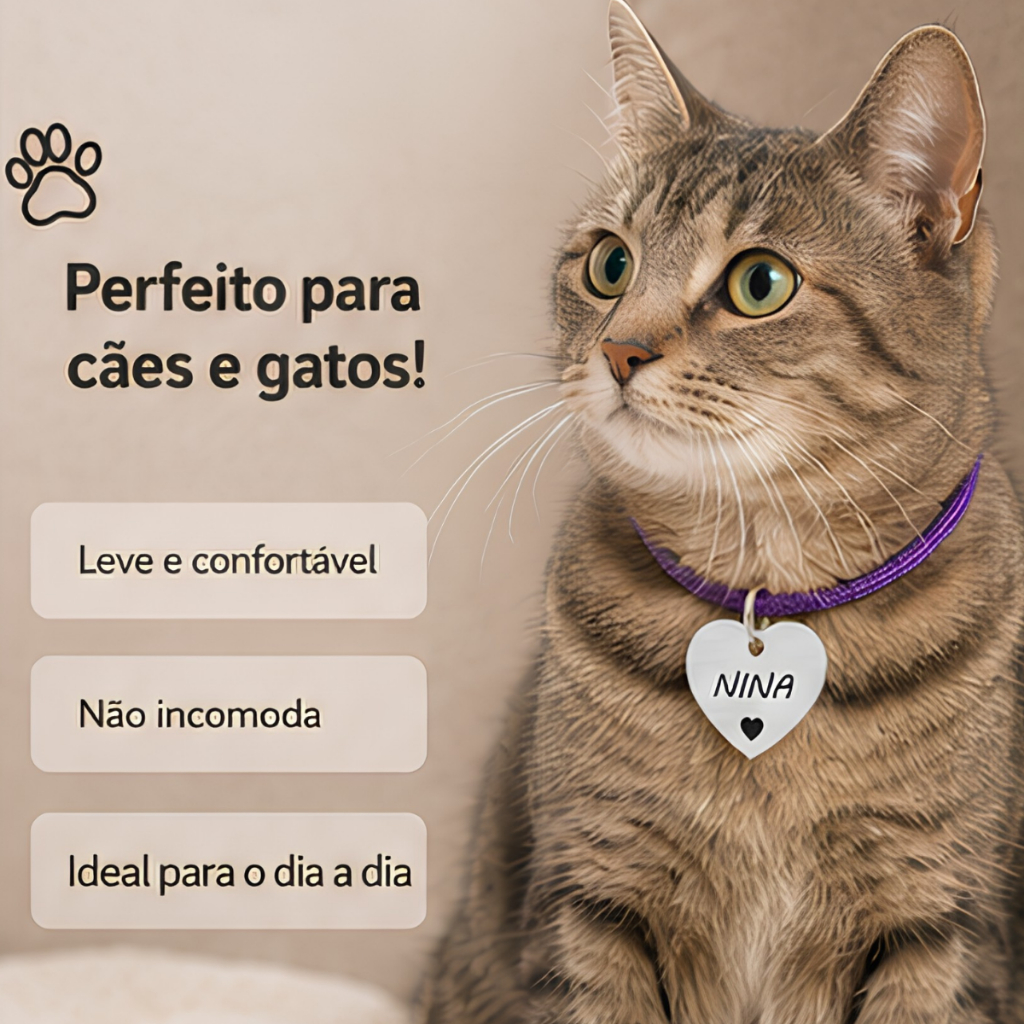 Plaquinha de identificação Pet + Coleira para Cachorro shitzu Pug Golden Golden Personalizado