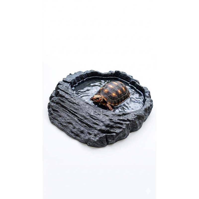 Piscina Para Jabuti Bebedouro Banheira Terrário Répteis 17x21 Refrescante Comedouro Resistente