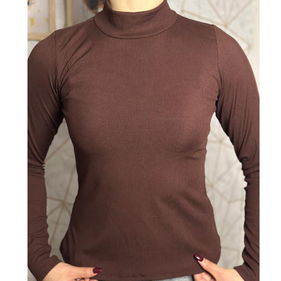 Blusinha Quentinha Manga Longa Cacharrel Feminina Gola Alta Ribana Flanelada Térmica Canelada Premium Segunda Pele Frio