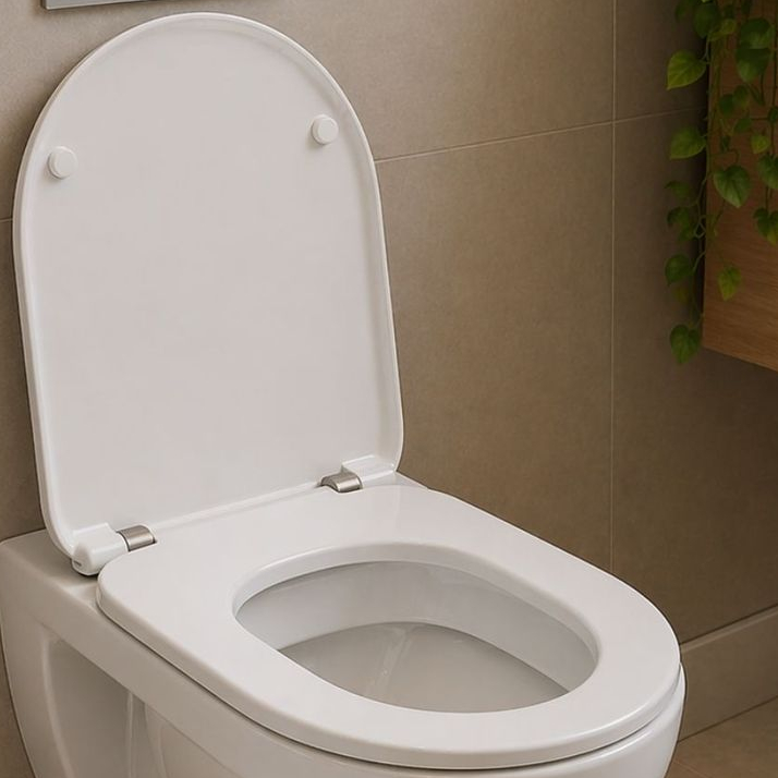 Assento Sanitário Termofixo Branco Louça Carrara Branco *Não acompanha o Vaso Sanitário*