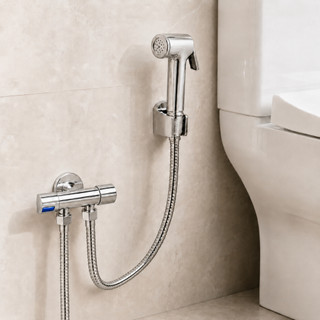 Ducha Higiênica Com Registro Para Banheiro Completa Luxo Inox Chuveirinho Privada Limpeza De Alta Pressão