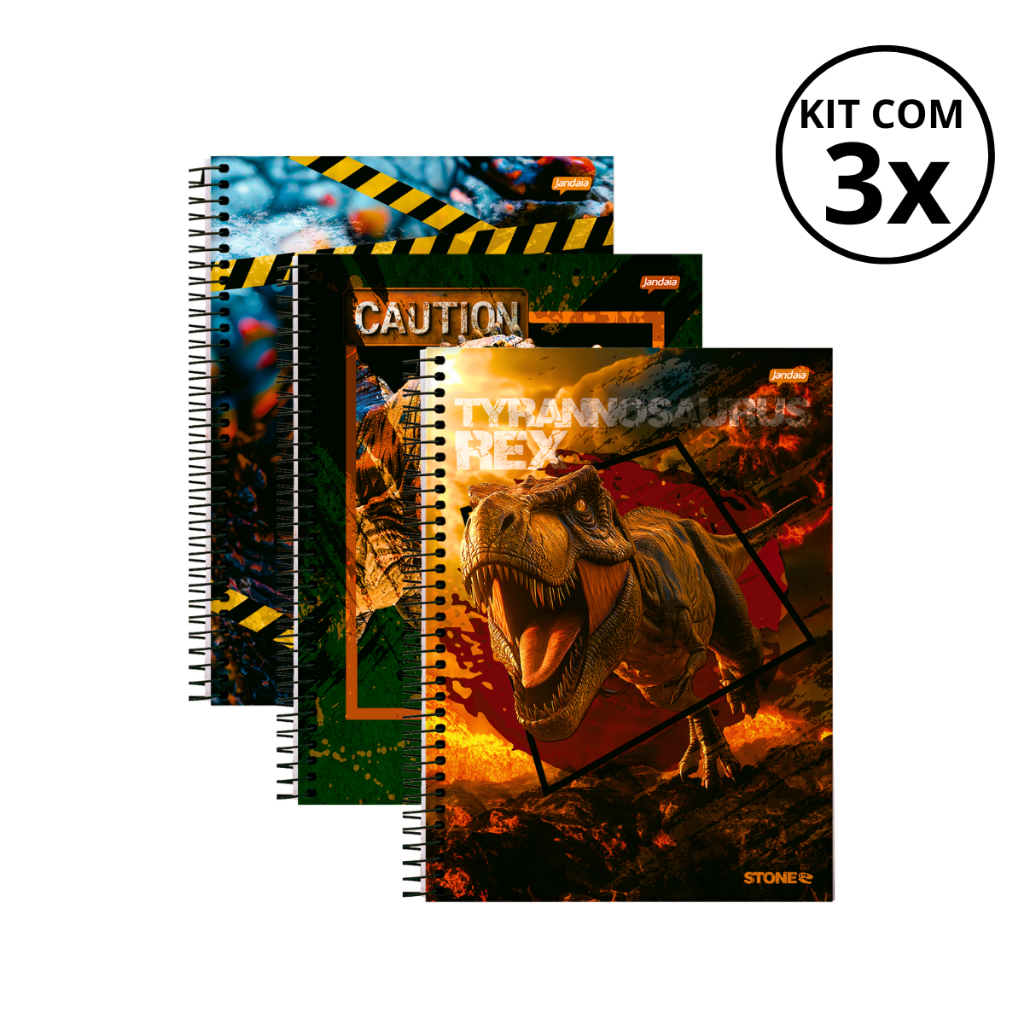 Kit Com 03 Cadernos 01 Matéria Universitário 80 Folhas Stone - Jandaia KIT:KIT 07