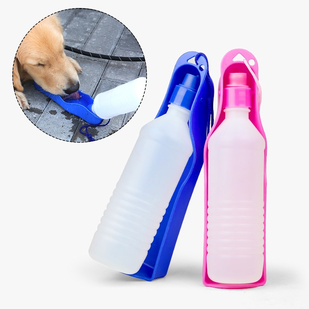 Bebedouro Portátil Pet 250ml com Garrafa para Cachorro e Gato Pote de Água para Passeio e Viagem