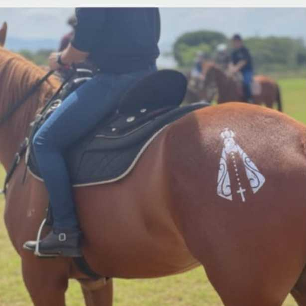 Kit Fé Tatuagem Equestre