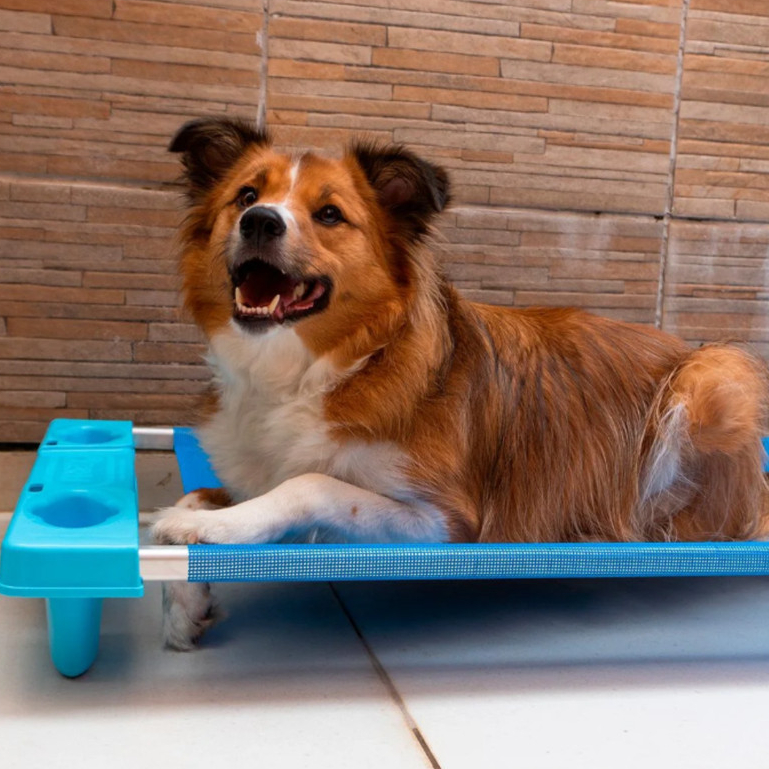 Cama Cachorro Gato Grande Freso Lavável Fácil Limpeza Antiderrapante Confortável Pet Cães filhotes Dia das Crianças