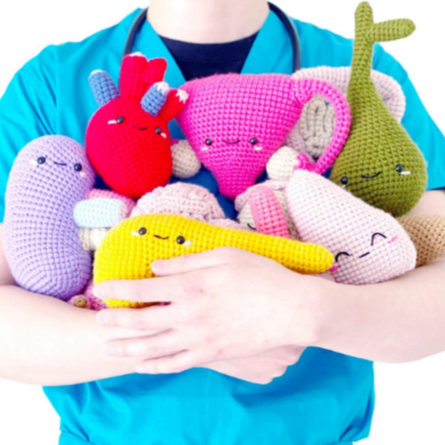 Amigurumi Órgãos Educativos Anatomia Feito a Mão Professora Personalizado • Presente Criativo • Artesanal • Crochê