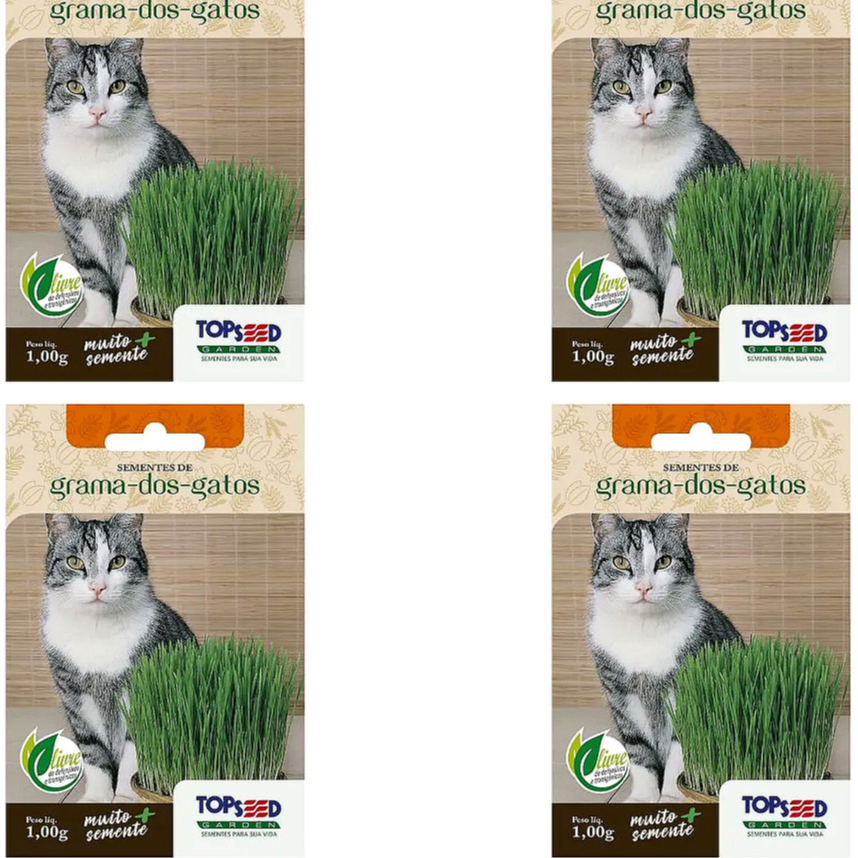 4X Sementes Graminha Para Gatos Erva Petisco Saúde Intestinal Cat Grass Pet Anti Stress