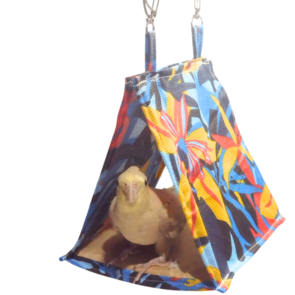 Cabana Casinha Poleiro Pássaros Calopsita Argaponis Aves Pet Banheira Passaro