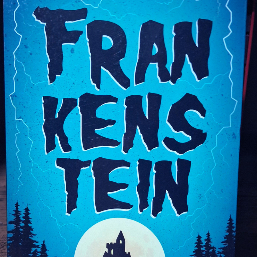 Livro Frankenstein Barato | Envio Rápido | Bem Conservado