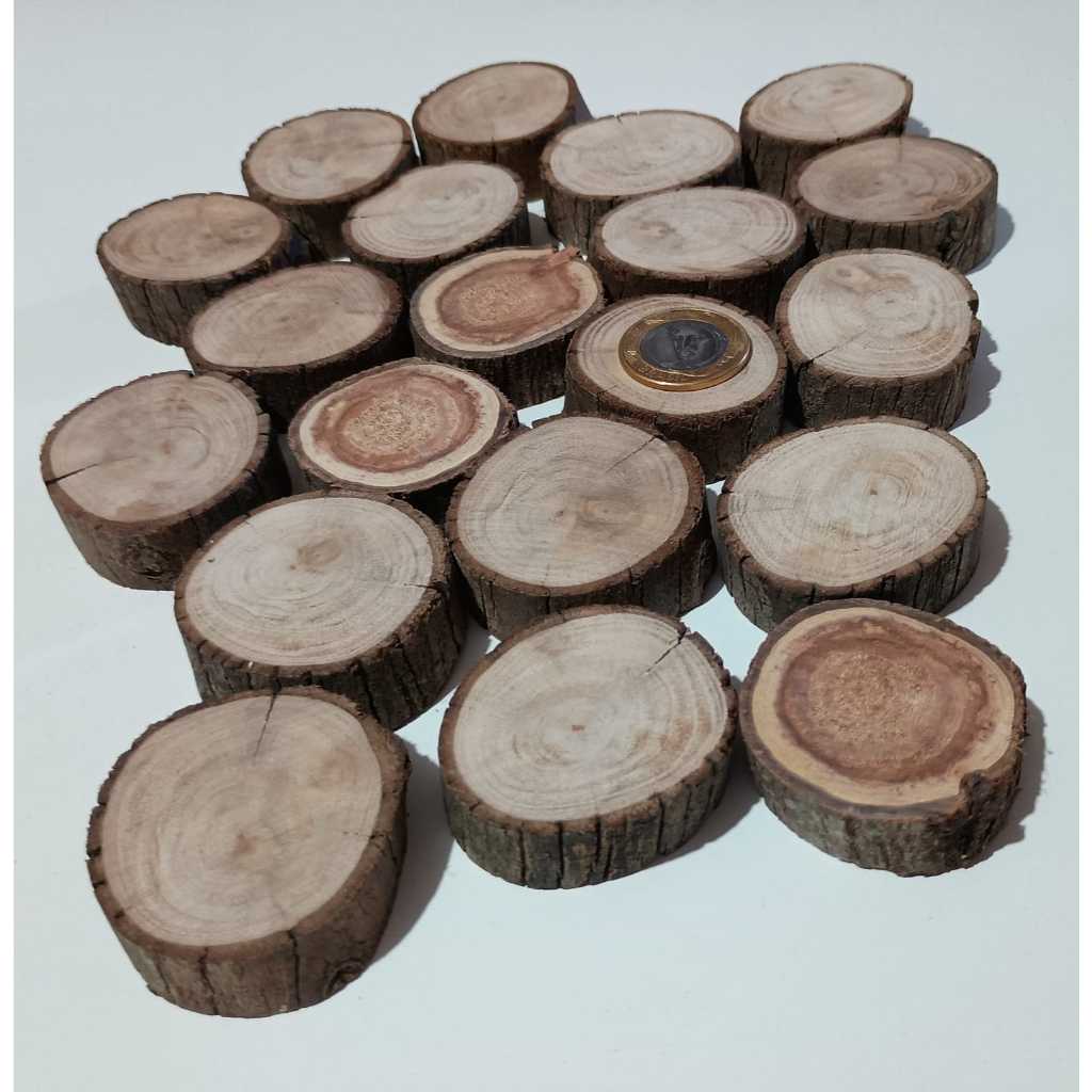 Kit 20 Mini Bolacha de Madeira Natural Rústica entre 4 a 6 cm - Madeira de Demolição - Pinterest Style