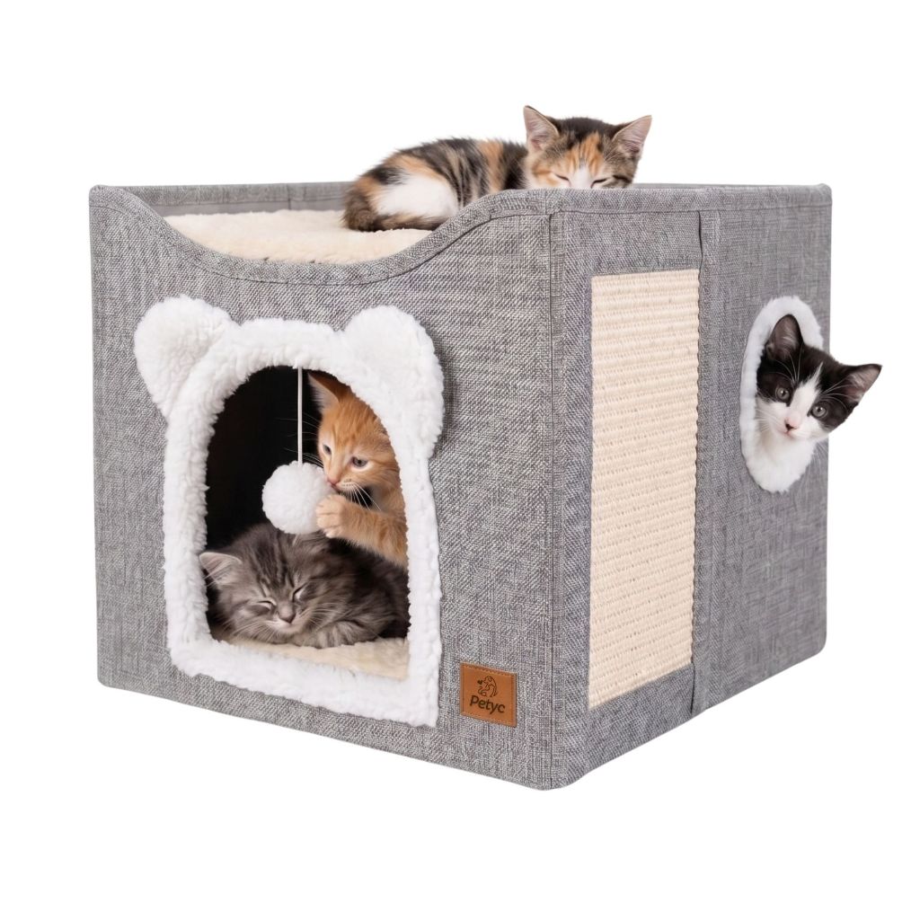 Casinha Para Gato 2 Andares Com Arranhador Dobrável Casa Gatinho Com Brinquedo Petyc