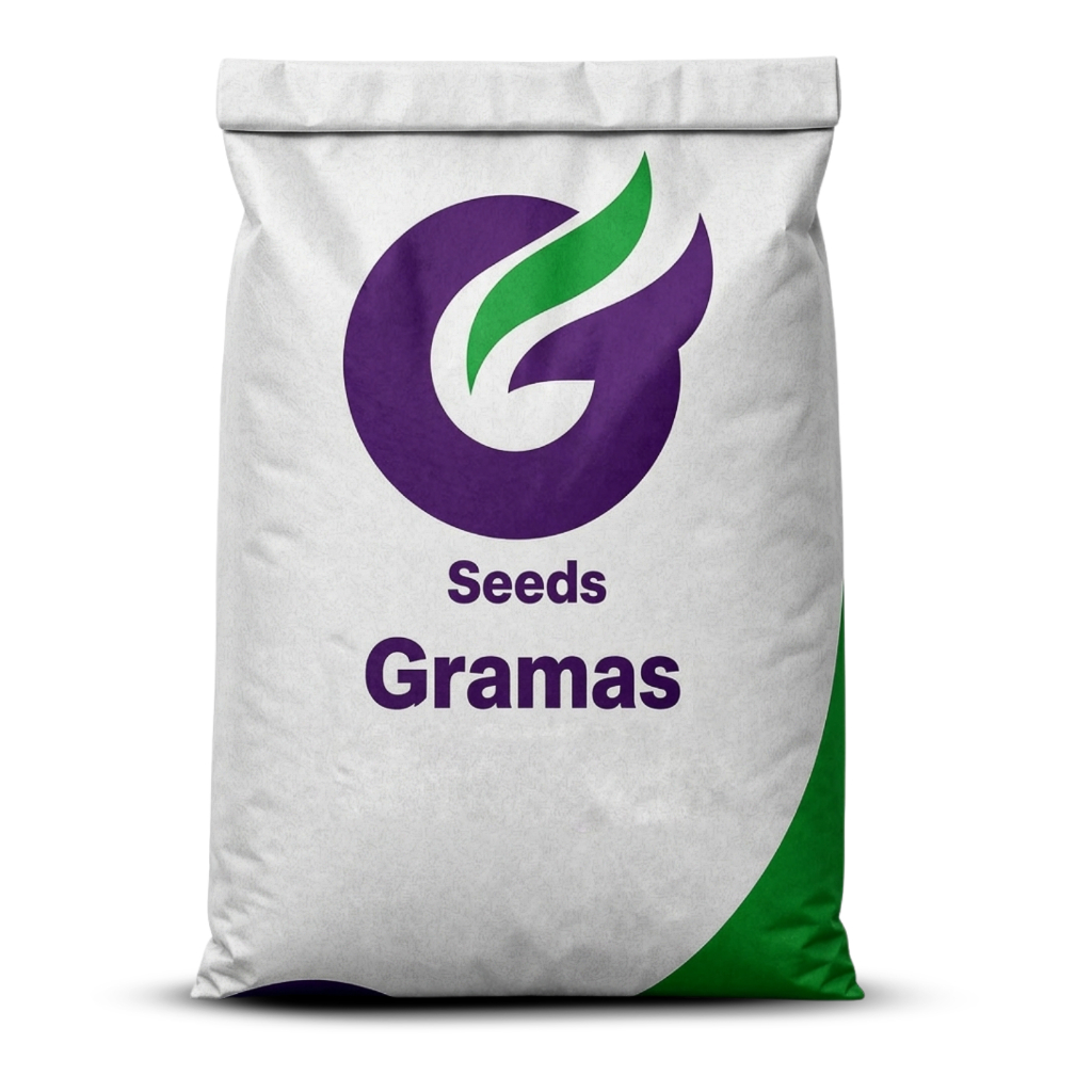 1kg Sementes de Grama Batatais  para jardim e campo de futebol