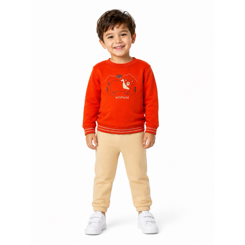 Conjunto Moletom Menino Inverno Peluciado - Brandili