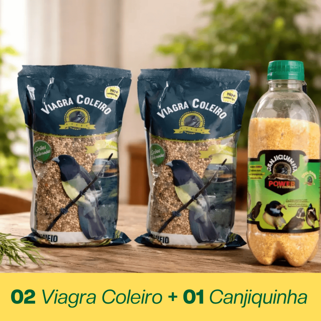 Kit 2 Viagra Coleiro + 1 Canjiquinha Power Papacapim Estimulante Pássaros Curió Trinca Ferro Bigodinho Ração Premium