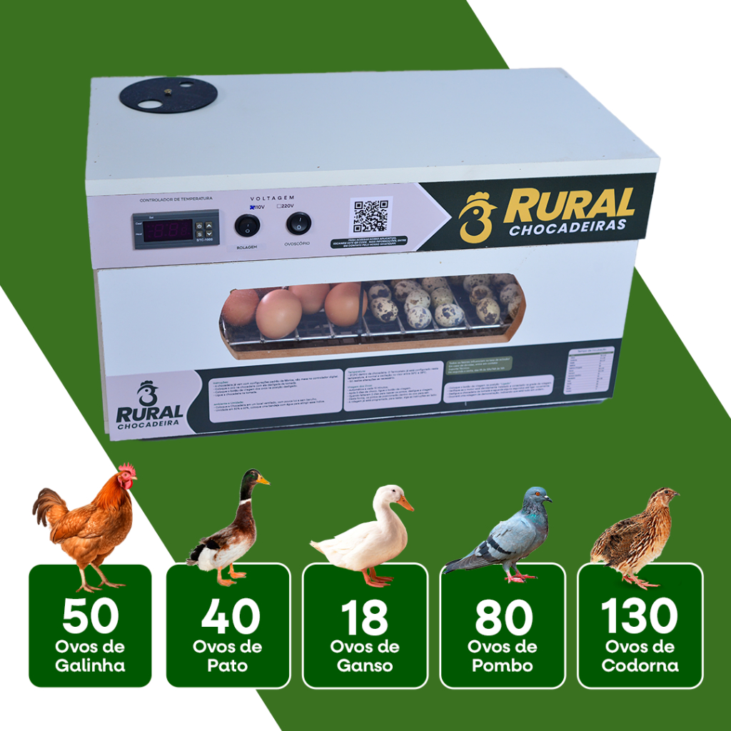 Chocadeira Eletríca 50 ovos de Galinha ou 100 ovos de Cordorna + APP