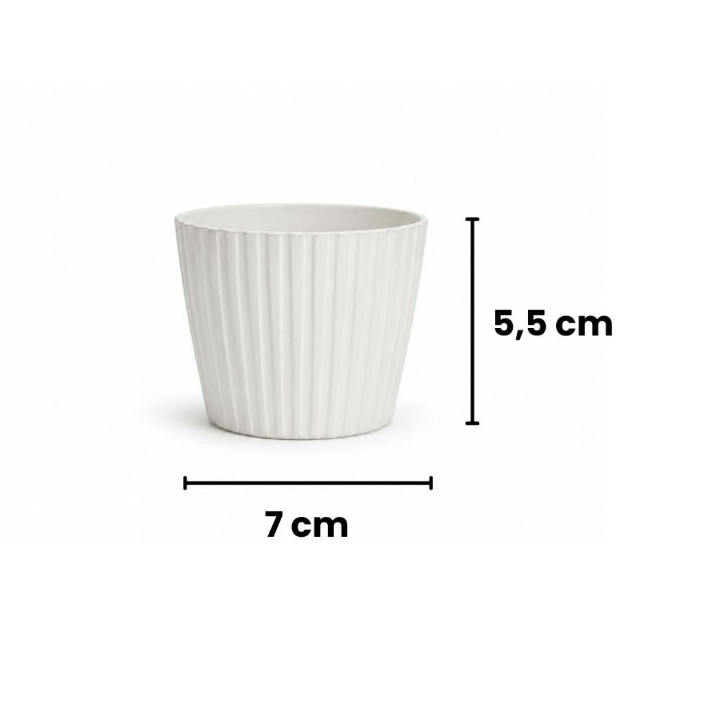 Kit 4 Mini Vasos Texturizados para Cactos, Suculentas e Plantas Pequenas · foto 2