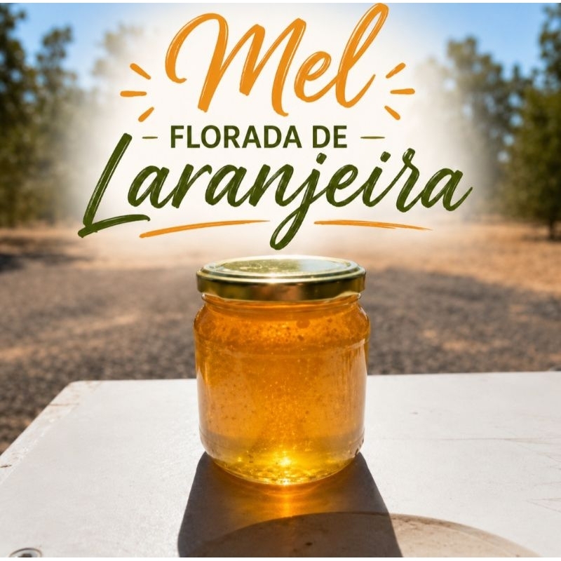 Mel puro de Abelhas/ Flores de Laranjeira / Direto do produtor / 500 ml