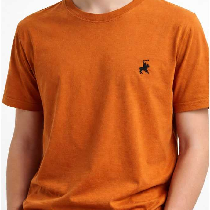 Camisetas Juvenil Masculinas de Malha super confortável Algodão Básicas Camisas Premium