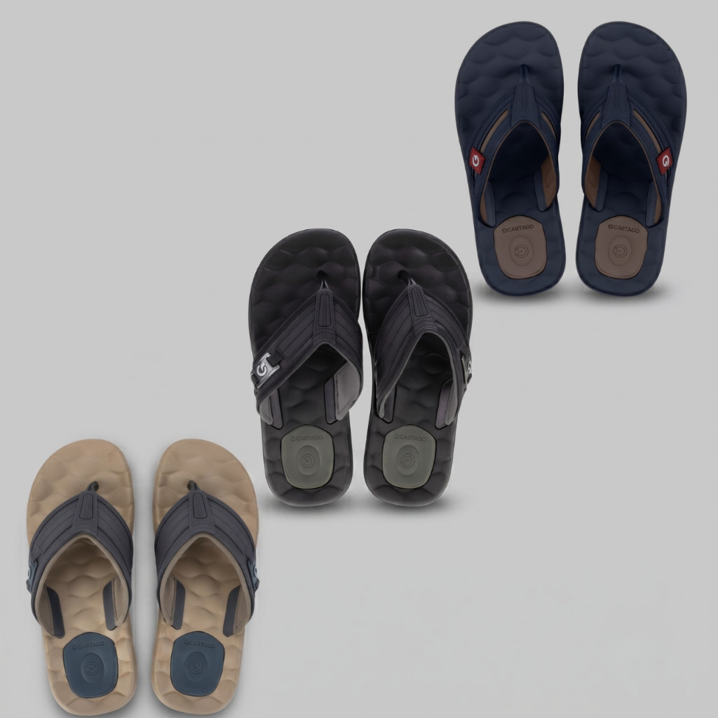 Chinelo Masculino Cartago Egeu III Conforto Casual Anatômico Resistente Original
