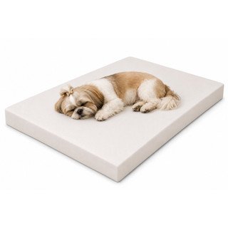 Refil Espuma para Cama Pet 5cm Alta Densidade 50x50 | 70x70 | 90x60 cm