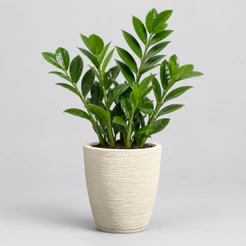 Vaso para Plantas Medio Decorativo em Polietileno Coluna Bojo Escovado N1 com Prato Coletor