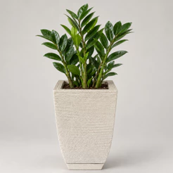 Vaso para Plantas Decorativo Bojo Quadrado Grafiato Mini medidas 28cm x 16cm x 10cm