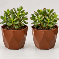Kit 2 Vasos Facetado Médio N4 Decorativo para Plantas e Ideal para Centro de Mesa casa sala cozinha