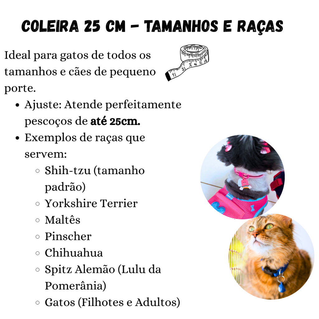 Coleira Com Pingente Plaquinha de Identificação Para Cachorro e Gato Personalizado Com Nome e Telefone