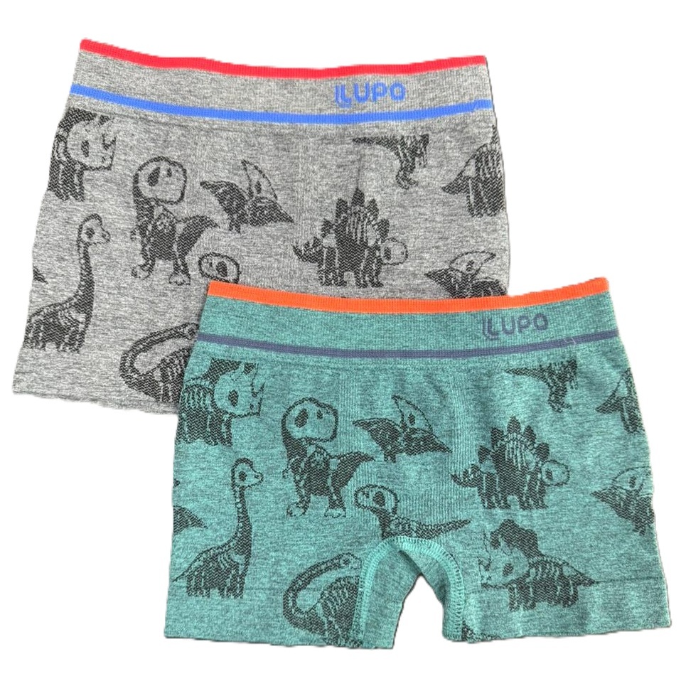 Kit 2 cuecas Lupo Boxer Infantil Sem costura Ref: 137 em Oferta na Shopee