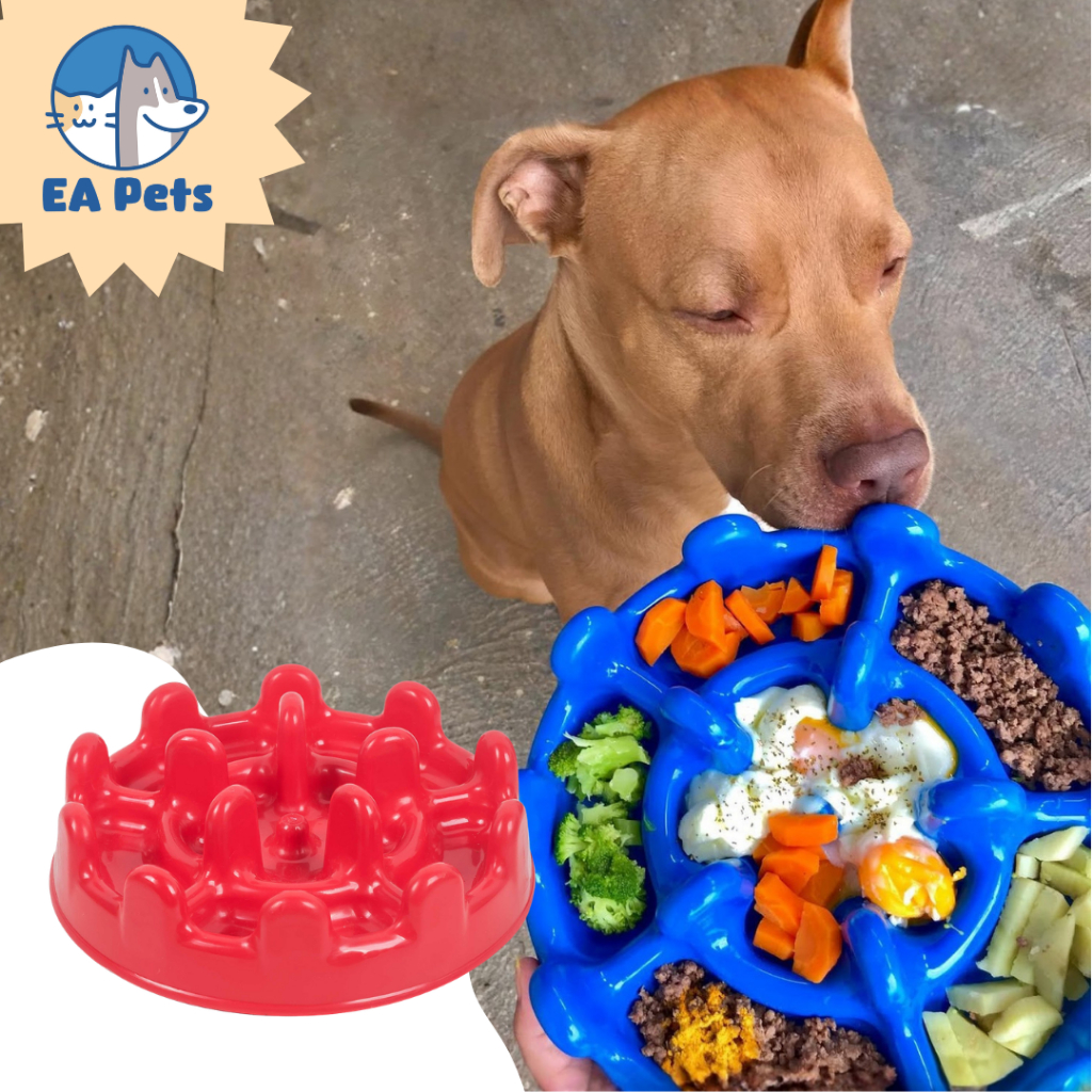 Comedouro Lento Da Pet Games Pet Fit Para Cão Porte Médio Grande Divertido Saudável Para Cachorro