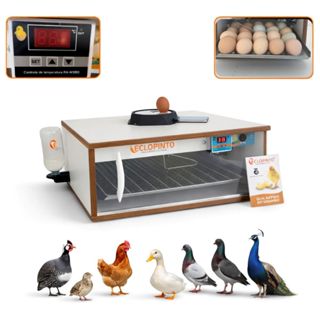Chocadeira Eclopinto - Até 72 ovos em Oferta na Shopee