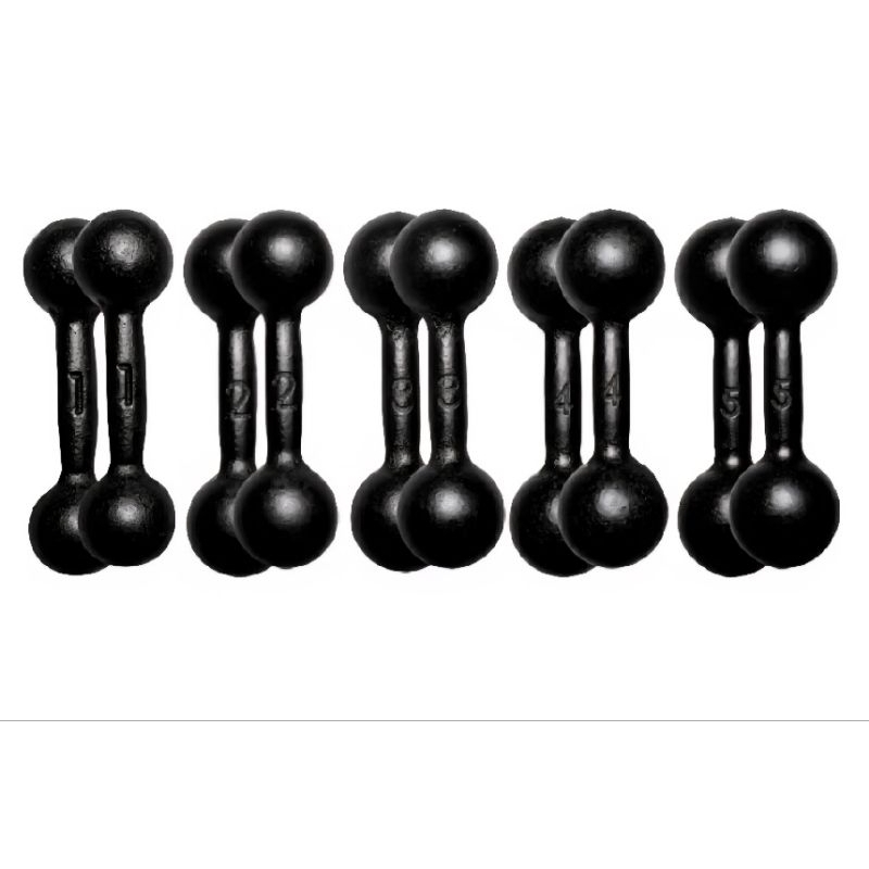 Par halter bola pintado 01 a 05kg musculação academia fisioterapia crosfit funcional - escolha o seu