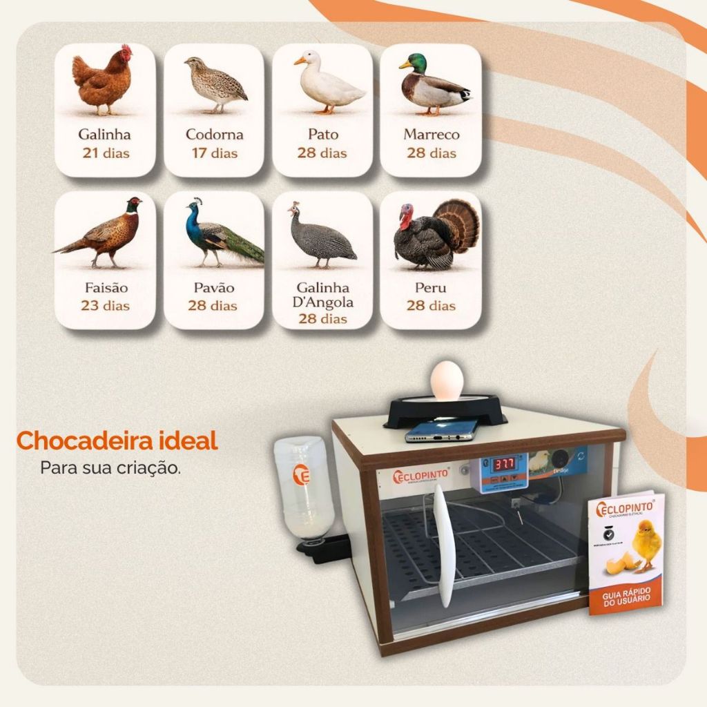 Chocadeira 20 Ovos Automática + Kit Automática de Água