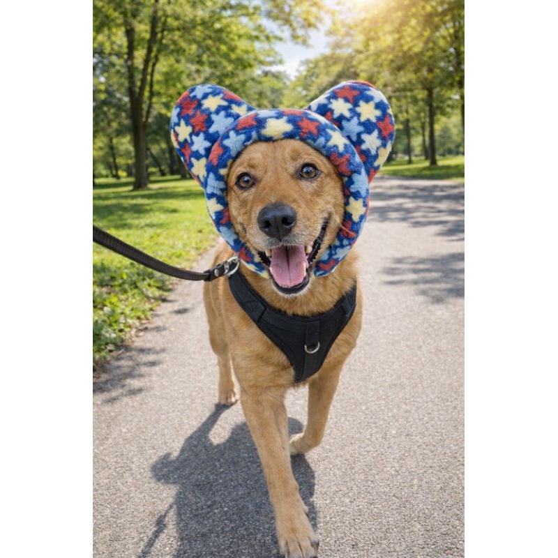 Aquecedor de Orelha Pet Inverno Touca Cachorro Quentinha Ajustável Conforto Passeio Chapéu pet