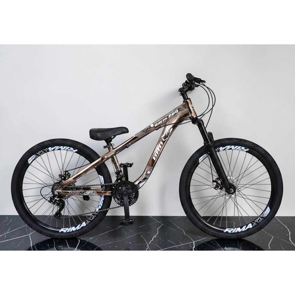Bicicleta Aro 26 PRO-X Rustic PRO Preto Croma Freeride 21v Aro Vmaxx Freio a Disco Pneu Flame