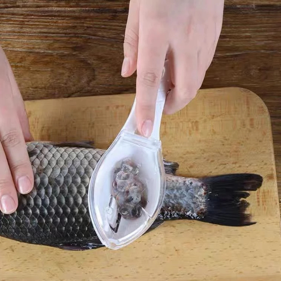 Raspador de Escama de Peixe Manual Descamador com Armazenamento de Resíduos Cozinha