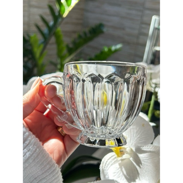 JOGO DE XÍCARA 6 UNIDADES VIDRO TRANSPARENTE 200 ML — imagem 2 de 2